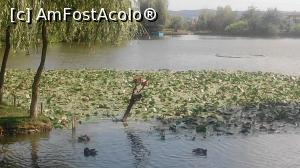 [P12] In mijlocul " Pestisorului" se afla un lac cu pesti » foto by dorgo
 - 
<span class="allrVoted glyphicon glyphicon-heart hidden" id="av1140819"></span>
<a class="m-l-10 hidden" id="sv1140819" onclick="voting_Foto_DelVot(,1140819,4761)" role="button">șterge vot <span class="glyphicon glyphicon-remove"></span></a>
<a id="v91140819" class=" c-red"  onclick="voting_Foto_SetVot(1140819)" role="button"><span class="glyphicon glyphicon-heart-empty"></span> <b>LIKE</b> = Votează poza</a> <img class="hidden"  id="f1140819W9" src="/imagini/loader.gif" border="0" /><span class="AjErrMes hidden" id="e1140819ErM"></span>