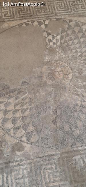 [P16] Devnya - Muzeul mozaicurilor, capul Medusei. » foto by iulianic
 - 
<span class="allrVoted glyphicon glyphicon-heart hidden" id="av1539488"></span>
<a class="m-l-10 hidden" id="sv1539488" onclick="voting_Foto_DelVot(,1539488,4765)" role="button">șterge vot <span class="glyphicon glyphicon-remove"></span></a>
<a id="v91539488" class=" c-red"  onclick="voting_Foto_SetVot(1539488)" role="button"><span class="glyphicon glyphicon-heart-empty"></span> <b>LIKE</b> = Votează poza</a> <img class="hidden"  id="f1539488W9" src="/imagini/loader.gif" border="0" /><span class="AjErrMes hidden" id="e1539488ErM"></span>
