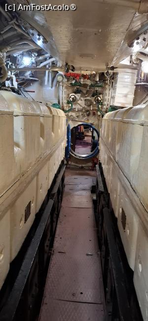 [P19] Beloslav - Submarinul “Slava”, interior. » foto by iulianic
 - 
<span class="allrVoted glyphicon glyphicon-heart hidden" id="av1539898"></span>
<a class="m-l-10 hidden" id="sv1539898" onclick="voting_Foto_DelVot(,1539898,4765)" role="button">șterge vot <span class="glyphicon glyphicon-remove"></span></a>
<a id="v91539898" class=" c-red"  onclick="voting_Foto_SetVot(1539898)" role="button"><span class="glyphicon glyphicon-heart-empty"></span> <b>LIKE</b> = Votează poza</a> <img class="hidden"  id="f1539898W9" src="/imagini/loader.gif" border="0" /><span class="AjErrMes hidden" id="e1539898ErM"></span>