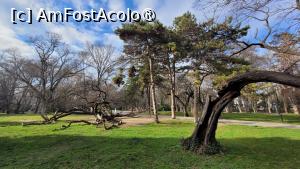 [P10] Prin Gradina Mării in ianuarie » foto by miha48
 - 
<span class="allrVoted glyphicon glyphicon-heart hidden" id="av1471903"></span>
<a class="m-l-10 hidden" id="sv1471903" onclick="voting_Foto_DelVot(,1471903,4765)" role="button">șterge vot <span class="glyphicon glyphicon-remove"></span></a>
<a id="v91471903" class=" c-red"  onclick="voting_Foto_SetVot(1471903)" role="button"><span class="glyphicon glyphicon-heart-empty"></span> <b>LIKE</b> = Votează poza</a> <img class="hidden"  id="f1471903W9" src="/imagini/loader.gif" border="0" /><span class="AjErrMes hidden" id="e1471903ErM"></span>