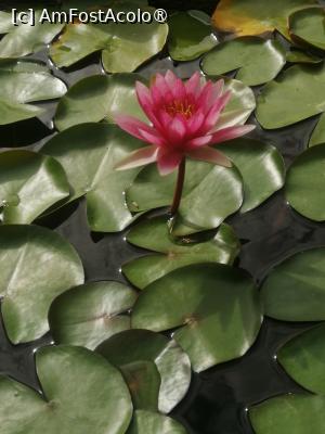 [P03]  -- <small>// FĂRĂ DESCRIERE</small> » foto by Cristian_h
 - 
<span class="allrVoted glyphicon glyphicon-heart hidden" id="av1516775"></span>
<a class="m-l-10 hidden" id="sv1516775" onclick="voting_Foto_DelVot(,1516775,4839)" role="button">șterge vot <span class="glyphicon glyphicon-remove"></span></a>
<a id="v91516775" class=" c-red"  onclick="voting_Foto_SetVot(1516775)" role="button"><span class="glyphicon glyphicon-heart-empty"></span> <b>LIKE</b> = Votează poza</a> <img class="hidden"  id="f1516775W9" src="/imagini/loader.gif" border="0" /><span class="AjErrMes hidden" id="e1516775ErM"></span>