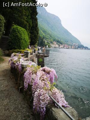 [P27] Varenna; Villa Monastero » foto by crismis
 - 
<span class="allrVoted glyphicon glyphicon-heart hidden" id="av1300191"></span>
<a class="m-l-10 hidden" id="sv1300191" onclick="voting_Foto_DelVot(,1300191,4871)" role="button">șterge vot <span class="glyphicon glyphicon-remove"></span></a>
<a id="v91300191" class=" c-red"  onclick="voting_Foto_SetVot(1300191)" role="button"><span class="glyphicon glyphicon-heart-empty"></span> <b>LIKE</b> = Votează poza</a> <img class="hidden"  id="f1300191W9" src="/imagini/loader.gif" border="0" /><span class="AjErrMes hidden" id="e1300191ErM"></span>