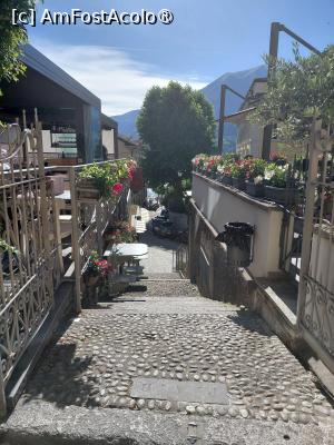 [P15] Privește care creează bună dispoziție în Bellaggio » foto by mnn
 - 
<span class="allrVoted glyphicon glyphicon-heart hidden" id="av1539754"></span>
<a class="m-l-10 hidden" id="sv1539754" onclick="voting_Foto_DelVot(,1539754,4871)" role="button">șterge vot <span class="glyphicon glyphicon-remove"></span></a>
<a id="v91539754" class=" c-red"  onclick="voting_Foto_SetVot(1539754)" role="button"><span class="glyphicon glyphicon-heart-empty"></span> <b>LIKE</b> = Votează poza</a> <img class="hidden"  id="f1539754W9" src="/imagini/loader.gif" border="0" /><span class="AjErrMes hidden" id="e1539754ErM"></span>