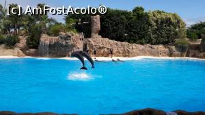 [P04] Loro Parque » foto by andreeaandreea5
 - 
<span class="allrVoted glyphicon glyphicon-heart hidden" id="av873095"></span>
<a class="m-l-10 hidden" id="sv873095" onclick="voting_Foto_DelVot(,873095,4873)" role="button">șterge vot <span class="glyphicon glyphicon-remove"></span></a>
<a id="v9873095" class=" c-red"  onclick="voting_Foto_SetVot(873095)" role="button"><span class="glyphicon glyphicon-heart-empty"></span> <b>LIKE</b> = Votează poza</a> <img class="hidden"  id="f873095W9" src="/imagini/loader.gif" border="0" /><span class="AjErrMes hidden" id="e873095ErM"></span>