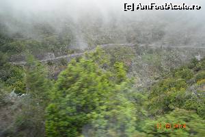 [P23] Pe insula Gomera » foto by marmin
 - 
<span class="allrVoted glyphicon glyphicon-heart hidden" id="av518996"></span>
<a class="m-l-10 hidden" id="sv518996" onclick="voting_Foto_DelVot(,518996,4873)" role="button">șterge vot <span class="glyphicon glyphicon-remove"></span></a>
<a id="v9518996" class=" c-red"  onclick="voting_Foto_SetVot(518996)" role="button"><span class="glyphicon glyphicon-heart-empty"></span> <b>LIKE</b> = Votează poza</a> <img class="hidden"  id="f518996W9" src="/imagini/loader.gif" border="0" /><span class="AjErrMes hidden" id="e518996ErM"></span>