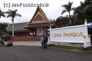 [P01] Intrarea la Loro Parque » foto by micos
 - 
<span class="allrVoted glyphicon glyphicon-heart hidden" id="av1065729"></span>
<a class="m-l-10 hidden" id="sv1065729" onclick="voting_Foto_DelVot(,1065729,4873)" role="button">șterge vot <span class="glyphicon glyphicon-remove"></span></a>
<a id="v91065729" class=" c-red"  onclick="voting_Foto_SetVot(1065729)" role="button"><span class="glyphicon glyphicon-heart-empty"></span> <b>LIKE</b> = Votează poza</a> <img class="hidden"  id="f1065729W9" src="/imagini/loader.gif" border="0" /><span class="AjErrMes hidden" id="e1065729ErM"></span>