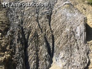 [P02] Muntele de sare de lângă lacul Rosu » foto by Sirbu corina
 - 
<span class="allrVoted glyphicon glyphicon-heart hidden" id="av1097236"></span>
<a class="m-l-10 hidden" id="sv1097236" onclick="voting_Foto_DelVot(,1097236,4909)" role="button">șterge vot <span class="glyphicon glyphicon-remove"></span></a>
<a id="v91097236" class=" c-red"  onclick="voting_Foto_SetVot(1097236)" role="button"><span class="glyphicon glyphicon-heart-empty"></span> <b>LIKE</b> = Votează poza</a> <img class="hidden"  id="f1097236W9" src="/imagini/loader.gif" border="0" /><span class="AjErrMes hidden" id="e1097236ErM"></span>