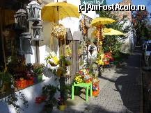 [P06] O florarie langa Cetatea Medievala din Tg.Mures » foto by BOGDAN DSN
 - 
<span class="allrVoted glyphicon glyphicon-heart hidden" id="av142414"></span>
<a class="m-l-10 hidden" id="sv142414" onclick="voting_Foto_DelVot(,142414,4909)" role="button">șterge vot <span class="glyphicon glyphicon-remove"></span></a>
<a id="v9142414" class=" c-red"  onclick="voting_Foto_SetVot(142414)" role="button"><span class="glyphicon glyphicon-heart-empty"></span> <b>LIKE</b> = Votează poza</a> <img class="hidden"  id="f142414W9" src="/imagini/loader.gif" border="0" /><span class="AjErrMes hidden" id="e142414ErM"></span>