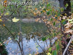 [P20] Lacul Negru - Sovata.  » foto by tata123 🔱
 - 
<span class="allrVoted glyphicon glyphicon-heart hidden" id="av1033852"></span>
<a class="m-l-10 hidden" id="sv1033852" onclick="voting_Foto_DelVot(,1033852,4909)" role="button">șterge vot <span class="glyphicon glyphicon-remove"></span></a>
<a id="v91033852" class=" c-red"  onclick="voting_Foto_SetVot(1033852)" role="button"><span class="glyphicon glyphicon-heart-empty"></span> <b>LIKE</b> = Votează poza</a> <img class="hidden"  id="f1033852W9" src="/imagini/loader.gif" border="0" /><span class="AjErrMes hidden" id="e1033852ErM"></span>