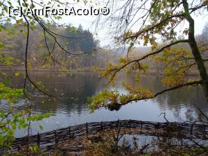 [P22] Vizitați Sovata! (în imagine un peisaj de toamnă la Lacul Ursu).  » foto by tata123 🔱
 - 
<span class="allrVoted glyphicon glyphicon-heart hidden" id="av1033855"></span>
<a class="m-l-10 hidden" id="sv1033855" onclick="voting_Foto_DelVot(,1033855,4909)" role="button">șterge vot <span class="glyphicon glyphicon-remove"></span></a>
<a id="v91033855" class=" c-red"  onclick="voting_Foto_SetVot(1033855)" role="button"><span class="glyphicon glyphicon-heart-empty"></span> <b>LIKE</b> = Votează poza</a> <img class="hidden"  id="f1033855W9" src="/imagini/loader.gif" border="0" /><span class="AjErrMes hidden" id="e1033855ErM"></span>