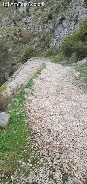 [P04] cararea gratuita de urcare spre cetatea Kotor » foto by ionyde
 - 
<span class="allrVoted glyphicon glyphicon-heart hidden" id="av1504911"></span>
<a class="m-l-10 hidden" id="sv1504911" onclick="voting_Foto_DelVot(,1504911,4928)" role="button">șterge vot <span class="glyphicon glyphicon-remove"></span></a>
<a id="v91504911" class=" c-red"  onclick="voting_Foto_SetVot(1504911)" role="button"><span class="glyphicon glyphicon-heart-empty"></span> <b>LIKE</b> = Votează poza</a> <img class="hidden"  id="f1504911W9" src="/imagini/loader.gif" border="0" /><span class="AjErrMes hidden" id="e1504911ErM"></span>