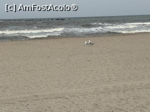 [P48] Sulina Internaţional din Mamaia - plaja şi marea » foto by nicole33
 - 
<span class="allrVoted glyphicon glyphicon-heart hidden" id="av1523901"></span>
<a class="m-l-10 hidden" id="sv1523901" onclick="voting_Foto_DelVot(,1523901,4946)" role="button">șterge vot <span class="glyphicon glyphicon-remove"></span></a>
<a id="v91523901" class=" c-red"  onclick="voting_Foto_SetVot(1523901)" role="button"><span class="glyphicon glyphicon-heart-empty"></span> <b>LIKE</b> = Votează poza</a> <img class="hidden"  id="f1523901W9" src="/imagini/loader.gif" border="0" /><span class="AjErrMes hidden" id="e1523901ErM"></span>