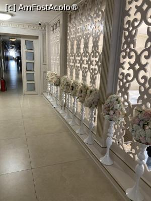 [P15] Decorațiuni pe hol » foto by aurora56
 - 
<span class="allrVoted glyphicon glyphicon-heart hidden" id="av1522064"></span>
<a class="m-l-10 hidden" id="sv1522064" onclick="voting_Foto_DelVot(,1522064,4946)" role="button">șterge vot <span class="glyphicon glyphicon-remove"></span></a>
<a id="v91522064" class=" c-red"  onclick="voting_Foto_SetVot(1522064)" role="button"><span class="glyphicon glyphicon-heart-empty"></span> <b>LIKE</b> = Votează poza</a> <img class="hidden"  id="f1522064W9" src="/imagini/loader.gif" border="0" /><span class="AjErrMes hidden" id="e1522064ErM"></span>