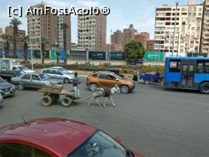 P20 [MAR-2021] Cairo, e viața de zi cu zi!