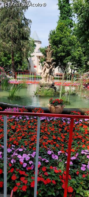 [P29] Parcul Copou » foto by Carmen Ion
 - 
<span class="allrVoted glyphicon glyphicon-heart hidden" id="av1489320"></span>
<a class="m-l-10 hidden" id="sv1489320" onclick="voting_Foto_DelVot(,1489320,5091)" role="button">șterge vot <span class="glyphicon glyphicon-remove"></span></a>
<a id="v91489320" class=" c-red"  onclick="voting_Foto_SetVot(1489320)" role="button"><span class="glyphicon glyphicon-heart-empty"></span> <b>LIKE</b> = Votează poza</a> <img class="hidden"  id="f1489320W9" src="/imagini/loader.gif" border="0" /><span class="AjErrMes hidden" id="e1489320ErM"></span>