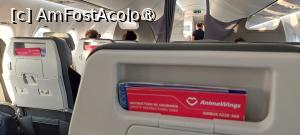 [P55] În avionul Airbus A220-300 » foto by Carmen Ion
 - 
<span class="allrVoted glyphicon glyphicon-heart hidden" id="av1489346"></span>
<a class="m-l-10 hidden" id="sv1489346" onclick="voting_Foto_DelVot(,1489346,5091)" role="button">șterge vot <span class="glyphicon glyphicon-remove"></span></a>
<a id="v91489346" class=" c-red"  onclick="voting_Foto_SetVot(1489346)" role="button"><span class="glyphicon glyphicon-heart-empty"></span> <b>LIKE</b> = Votează poza</a> <img class="hidden"  id="f1489346W9" src="/imagini/loader.gif" border="0" /><span class="AjErrMes hidden" id="e1489346ErM"></span>
