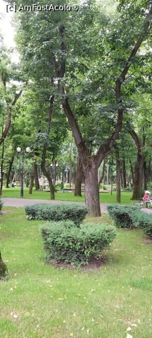 [P34] Parcul Copou » foto by Carmen Ion
 - 
<span class="allrVoted glyphicon glyphicon-heart hidden" id="av1495705"></span>
<a class="m-l-10 hidden" id="sv1495705" onclick="voting_Foto_DelVot(,1495705,5091)" role="button">șterge vot <span class="glyphicon glyphicon-remove"></span></a>
<a id="v91495705" class=" c-red"  onclick="voting_Foto_SetVot(1495705)" role="button"><span class="glyphicon glyphicon-heart-empty"></span> <b>LIKE</b> = Votează poza</a> <img class="hidden"  id="f1495705W9" src="/imagini/loader.gif" border="0" /><span class="AjErrMes hidden" id="e1495705ErM"></span>