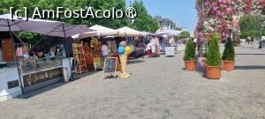 [P22] Bulevardul Ștefan cel Mare și Sfânt » foto by Carmen Ion
 - 
<span class="allrVoted glyphicon glyphicon-heart hidden" id="av1506353"></span>
<a class="m-l-10 hidden" id="sv1506353" onclick="voting_Foto_DelVot(,1506353,5091)" role="button">șterge vot <span class="glyphicon glyphicon-remove"></span></a>
<a id="v91506353" class=" c-red"  onclick="voting_Foto_SetVot(1506353)" role="button"><span class="glyphicon glyphicon-heart-empty"></span> <b>LIKE</b> = Votează poza</a> <img class="hidden"  id="f1506353W9" src="/imagini/loader.gif" border="0" /><span class="AjErrMes hidden" id="e1506353ErM"></span>