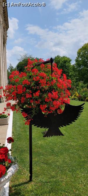 [P66] Mănăstirea Golia  - curtea » foto by Carmen Ion
 - 
<span class="allrVoted glyphicon glyphicon-heart hidden" id="av1507181"></span>
<a class="m-l-10 hidden" id="sv1507181" onclick="voting_Foto_DelVot(,1507181,5091)" role="button">șterge vot <span class="glyphicon glyphicon-remove"></span></a>
<a id="v91507181" class=" c-red"  onclick="voting_Foto_SetVot(1507181)" role="button"><span class="glyphicon glyphicon-heart-empty"></span> <b>LIKE</b> = Votează poza</a> <img class="hidden"  id="f1507181W9" src="/imagini/loader.gif" border="0" /><span class="AjErrMes hidden" id="e1507181ErM"></span>