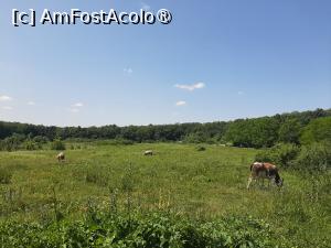 [P23] Poiana cu Cetate » foto by adso
 - 
<span class="allrVoted glyphicon glyphicon-heart hidden" id="av1490043"></span>
<a class="m-l-10 hidden" id="sv1490043" onclick="voting_Foto_DelVot(,1490043,5091)" role="button">șterge vot <span class="glyphicon glyphicon-remove"></span></a>
<a id="v91490043" class=" c-red"  onclick="voting_Foto_SetVot(1490043)" role="button"><span class="glyphicon glyphicon-heart-empty"></span> <b>LIKE</b> = Votează poza</a> <img class="hidden"  id="f1490043W9" src="/imagini/loader.gif" border="0" /><span class="AjErrMes hidden" id="e1490043ErM"></span>