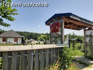 [P25] Poiana cu Cetate (Poiana cu maci) » foto by adso
 - 
<span class="allrVoted glyphicon glyphicon-heart hidden" id="av1490045"></span>
<a class="m-l-10 hidden" id="sv1490045" onclick="voting_Foto_DelVot(,1490045,5091)" role="button">șterge vot <span class="glyphicon glyphicon-remove"></span></a>
<a id="v91490045" class=" c-red"  onclick="voting_Foto_SetVot(1490045)" role="button"><span class="glyphicon glyphicon-heart-empty"></span> <b>LIKE</b> = Votează poza</a> <img class="hidden"  id="f1490045W9" src="/imagini/loader.gif" border="0" /><span class="AjErrMes hidden" id="e1490045ErM"></span>