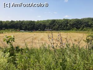 [P29] Poiana cu Cetate » foto by adso
 - 
<span class="allrVoted glyphicon glyphicon-heart hidden" id="av1490049"></span>
<a class="m-l-10 hidden" id="sv1490049" onclick="voting_Foto_DelVot(,1490049,5091)" role="button">șterge vot <span class="glyphicon glyphicon-remove"></span></a>
<a id="v91490049" class=" c-red"  onclick="voting_Foto_SetVot(1490049)" role="button"><span class="glyphicon glyphicon-heart-empty"></span> <b>LIKE</b> = Votează poza</a> <img class="hidden"  id="f1490049W9" src="/imagini/loader.gif" border="0" /><span class="AjErrMes hidden" id="e1490049ErM"></span>