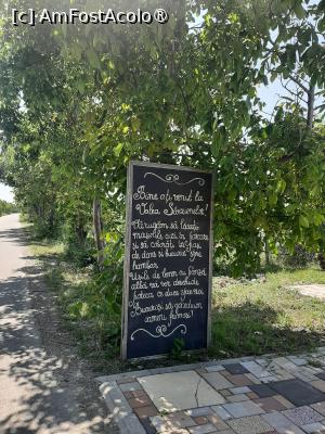 [P30] Poiana cu Cetate (Valea Sânzienelor) » foto by adso
 - 
<span class="allrVoted glyphicon glyphicon-heart hidden" id="av1490050"></span>
<a class="m-l-10 hidden" id="sv1490050" onclick="voting_Foto_DelVot(,1490050,5091)" role="button">șterge vot <span class="glyphicon glyphicon-remove"></span></a>
<a id="v91490050" class=" c-red"  onclick="voting_Foto_SetVot(1490050)" role="button"><span class="glyphicon glyphicon-heart-empty"></span> <b>LIKE</b> = Votează poza</a> <img class="hidden"  id="f1490050W9" src="/imagini/loader.gif" border="0" /><span class="AjErrMes hidden" id="e1490050ErM"></span>