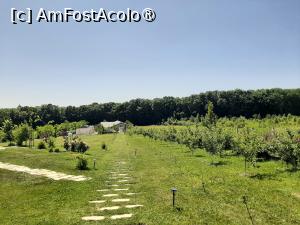[P51] Poiana cu Cetate » foto by adso
 - 
<span class="allrVoted glyphicon glyphicon-heart hidden" id="av1490071"></span>
<a class="m-l-10 hidden" id="sv1490071" onclick="voting_Foto_DelVot(,1490071,5091)" role="button">șterge vot <span class="glyphicon glyphicon-remove"></span></a>
<a id="v91490071" class=" c-red"  onclick="voting_Foto_SetVot(1490071)" role="button"><span class="glyphicon glyphicon-heart-empty"></span> <b>LIKE</b> = Votează poza</a> <img class="hidden"  id="f1490071W9" src="/imagini/loader.gif" border="0" /><span class="AjErrMes hidden" id="e1490071ErM"></span>