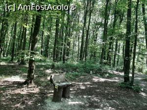 [P60] Drumul către Cetate / Poiana cu Schit » foto by adso
 - 
<span class="allrVoted glyphicon glyphicon-heart hidden" id="av1490080"></span>
<a class="m-l-10 hidden" id="sv1490080" onclick="voting_Foto_DelVot(,1490080,5091)" role="button">șterge vot <span class="glyphicon glyphicon-remove"></span></a>
<a id="v91490080" class=" c-red"  onclick="voting_Foto_SetVot(1490080)" role="button"><span class="glyphicon glyphicon-heart-empty"></span> <b>LIKE</b> = Votează poza</a> <img class="hidden"  id="f1490080W9" src="/imagini/loader.gif" border="0" /><span class="AjErrMes hidden" id="e1490080ErM"></span>