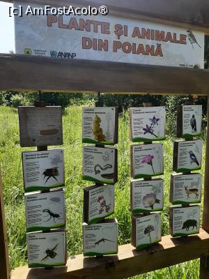 [P63] Poiana cu Schit » foto by adso
 - 
<span class="allrVoted glyphicon glyphicon-heart hidden" id="av1490083"></span>
<a class="m-l-10 hidden" id="sv1490083" onclick="voting_Foto_DelVot(,1490083,5091)" role="button">șterge vot <span class="glyphicon glyphicon-remove"></span></a>
<a id="v91490083" class=" c-red"  onclick="voting_Foto_SetVot(1490083)" role="button"><span class="glyphicon glyphicon-heart-empty"></span> <b>LIKE</b> = Votează poza</a> <img class="hidden"  id="f1490083W9" src="/imagini/loader.gif" border="0" /><span class="AjErrMes hidden" id="e1490083ErM"></span>
