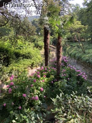 [P32] Grădina botanică Miramare » foto by aurora56
 - 
<span class="allrVoted glyphicon glyphicon-heart hidden" id="av1536950"></span>
<a class="m-l-10 hidden" id="sv1536950" onclick="voting_Foto_DelVot(,1536950,5104)" role="button">șterge vot <span class="glyphicon glyphicon-remove"></span></a>
<a id="v91536950" class=" c-red"  onclick="voting_Foto_SetVot(1536950)" role="button"><span class="glyphicon glyphicon-heart-empty"></span> <b>LIKE</b> = Votează poza</a> <img class="hidden"  id="f1536950W9" src="/imagini/loader.gif" border="0" /><span class="AjErrMes hidden" id="e1536950ErM"></span>