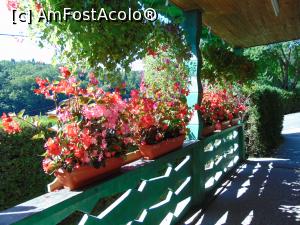 [P38] Frumoasel aranjamente florale de la intrare . » foto by liviu49
 - 
<span class="allrVoted glyphicon glyphicon-heart hidden" id="av1303187"></span>
<a class="m-l-10 hidden" id="sv1303187" onclick="voting_Foto_DelVot(,1303187,5114)" role="button">șterge vot <span class="glyphicon glyphicon-remove"></span></a>
<a id="v91303187" class=" c-red"  onclick="voting_Foto_SetVot(1303187)" role="button"><span class="glyphicon glyphicon-heart-empty"></span> <b>LIKE</b> = Votează poza</a> <img class="hidden"  id="f1303187W9" src="/imagini/loader.gif" border="0" /><span class="AjErrMes hidden" id="e1303187ErM"></span>