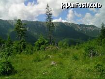 [P02] Satul Peştera se situează printre cele mai pitoreşti sate de munte din România şi are o populaţie omogenă de cca 1000 locuitori. În afară de panorama deosebită localitatea este renumită şi prin existenţa unui important monument al naturii- ”Peştera Liliecilor” » foto by MOUNTAIN*
 - 
<span class="allrVoted glyphicon glyphicon-heart hidden" id="av237452"></span>
<a class="m-l-10 hidden" id="sv237452" onclick="voting_Foto_DelVot(,237452,5116)" role="button">șterge vot <span class="glyphicon glyphicon-remove"></span></a>
<a id="v9237452" class=" c-red"  onclick="voting_Foto_SetVot(237452)" role="button"><span class="glyphicon glyphicon-heart-empty"></span> <b>LIKE</b> = Votează poza</a> <img class="hidden"  id="f237452W9" src="/imagini/loader.gif" border="0" /><span class="AjErrMes hidden" id="e237452ErM"></span>