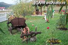 [P03] Imaginatie si iubire de natura » foto by Alina53
 - 
<span class="allrVoted glyphicon glyphicon-heart hidden" id="av65275"></span>
<a class="m-l-10 hidden" id="sv65275" onclick="voting_Foto_DelVot(,65275,5170)" role="button">șterge vot <span class="glyphicon glyphicon-remove"></span></a>
<a id="v965275" class=" c-red"  onclick="voting_Foto_SetVot(65275)" role="button"><span class="glyphicon glyphicon-heart-empty"></span> <b>LIKE</b> = Votează poza</a> <img class="hidden"  id="f65275W9" src="/imagini/loader.gif" border="0" /><span class="AjErrMes hidden" id="e65275ErM"></span>