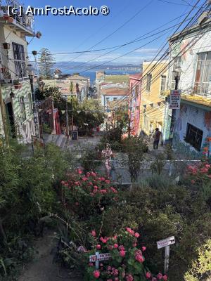 [P43] Valparaiso » foto by AZE
 - 
<span class="allrVoted glyphicon glyphicon-heart hidden" id="av1530635"></span>
<a class="m-l-10 hidden" id="sv1530635" onclick="voting_Foto_DelVot(,1530635,5192)" role="button">șterge vot <span class="glyphicon glyphicon-remove"></span></a>
<a id="v91530635" class=" c-red"  onclick="voting_Foto_SetVot(1530635)" role="button"><span class="glyphicon glyphicon-heart-empty"></span> <b>LIKE</b> = Votează poza</a> <img class="hidden"  id="f1530635W9" src="/imagini/loader.gif" border="0" /><span class="AjErrMes hidden" id="e1530635ErM"></span>