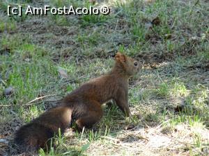 [P15] Un locuitor simpatic al Parcului balnear - Govora.  » foto by tata123 🔱
 - 
<span class="allrVoted glyphicon glyphicon-heart hidden" id="av909709"></span>
<a class="m-l-10 hidden" id="sv909709" onclick="voting_Foto_DelVot(,909709,5203)" role="button">șterge vot <span class="glyphicon glyphicon-remove"></span></a>
<a id="v9909709" class=" c-red"  onclick="voting_Foto_SetVot(909709)" role="button"><span class="glyphicon glyphicon-heart-empty"></span> <b>LIKE</b> = Votează poza</a> <img class="hidden"  id="f909709W9" src="/imagini/loader.gif" border="0" /><span class="AjErrMes hidden" id="e909709ErM"></span>