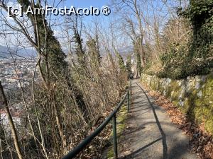 [P31] Coborâre spre oras » foto by Mika
 - 
<span class="allrVoted glyphicon glyphicon-heart hidden" id="av1521681"></span>
<a class="m-l-10 hidden" id="sv1521681" onclick="voting_Foto_DelVot(,1521681,5228)" role="button">șterge vot <span class="glyphicon glyphicon-remove"></span></a>
<a id="v91521681" class=" c-red"  onclick="voting_Foto_SetVot(1521681)" role="button"><span class="glyphicon glyphicon-heart-empty"></span> <b>LIKE</b> = Votează poza</a> <img class="hidden"  id="f1521681W9" src="/imagini/loader.gif" border="0" /><span class="AjErrMes hidden" id="e1521681ErM"></span>