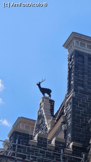 [P28] pe la Boldt Castle USA » foto by robert
 - 
<span class="allrVoted glyphicon glyphicon-heart hidden" id="av1546113"></span>
<a class="m-l-10 hidden" id="sv1546113" onclick="voting_Foto_DelVot(,1546113,5244)" role="button">șterge vot <span class="glyphicon glyphicon-remove"></span></a>
<a id="v91546113" class=" c-red"  onclick="voting_Foto_SetVot(1546113)" role="button"><span class="glyphicon glyphicon-heart-empty"></span> <b>LIKE</b> = Votează poza</a> <img class="hidden"  id="f1546113W9" src="/imagini/loader.gif" border="0" /><span class="AjErrMes hidden" id="e1546113ErM"></span>