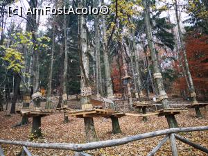 [P27] Parcul de aventură Mottarone » foto by crismis
 - 
<span class="allrVoted glyphicon glyphicon-heart hidden" id="av1274386"></span>
<a class="m-l-10 hidden" id="sv1274386" onclick="voting_Foto_DelVot(,1274386,5274)" role="button">șterge vot <span class="glyphicon glyphicon-remove"></span></a>
<a id="v91274386" class=" c-red"  onclick="voting_Foto_SetVot(1274386)" role="button"><span class="glyphicon glyphicon-heart-empty"></span> <b>LIKE</b> = Votează poza</a> <img class="hidden"  id="f1274386W9" src="/imagini/loader.gif" border="0" /><span class="AjErrMes hidden" id="e1274386ErM"></span>