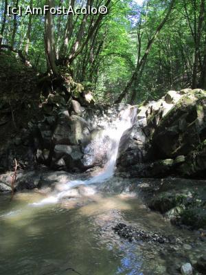 [P06] Primele cascade » foto by simplegirl
 - 
<span class="allrVoted glyphicon glyphicon-heart hidden" id="av1000562"></span>
<a class="m-l-10 hidden" id="sv1000562" onclick="voting_Foto_DelVot(,1000562,5279)" role="button">șterge vot <span class="glyphicon glyphicon-remove"></span></a>
<a id="v91000562" class=" c-red"  onclick="voting_Foto_SetVot(1000562)" role="button"><span class="glyphicon glyphicon-heart-empty"></span> <b>LIKE</b> = Votează poza</a> <img class="hidden"  id="f1000562W9" src="/imagini/loader.gif" border="0" /><span class="AjErrMes hidden" id="e1000562ErM"></span>