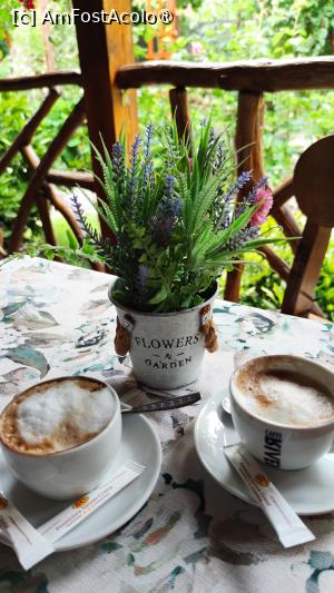 [P18] cafelute, dimineata » foto by myk007
 - 
<span class="allrVoted glyphicon glyphicon-heart hidden" id="av1493008"></span>
<a class="m-l-10 hidden" id="sv1493008" onclick="voting_Foto_DelVot(,1493008,5318)" role="button">șterge vot <span class="glyphicon glyphicon-remove"></span></a>
<a id="v91493008" class=" c-red"  onclick="voting_Foto_SetVot(1493008)" role="button"><span class="glyphicon glyphicon-heart-empty"></span> <b>LIKE</b> = Votează poza</a> <img class="hidden"  id="f1493008W9" src="/imagini/loader.gif" border="0" /><span class="AjErrMes hidden" id="e1493008ErM"></span>