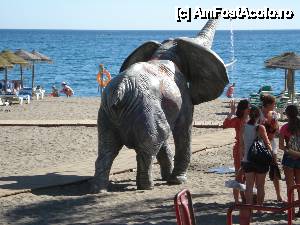 P01 [OCT-2012] Marbella și Puerto Banus - Duș original pe plaja din Marbella