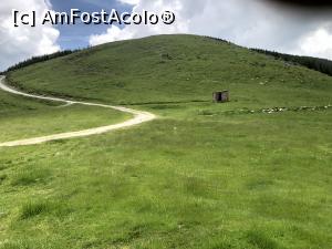 [P02] Drum forestier spre Vf Nedei, opus directiei in care am urcat, perpendicular pe drumul forestier pe care am urcat in Curmatura Oltetului si care urmeaza craesta Muntilor Capatanii » foto by Dan&Ema
 - 
<span class="allrVoted glyphicon glyphicon-heart hidden" id="av1082708"></span>
<a class="m-l-10 hidden" id="sv1082708" onclick="voting_Foto_DelVot(,1082708,5423)" role="button">șterge vot <span class="glyphicon glyphicon-remove"></span></a>
<a id="v91082708" class=" c-red"  onclick="voting_Foto_SetVot(1082708)" role="button"><span class="glyphicon glyphicon-heart-empty"></span> <b>LIKE</b> = Votează poza</a> <img class="hidden"  id="f1082708W9" src="/imagini/loader.gif" border="0" /><span class="AjErrMes hidden" id="e1082708ErM"></span>