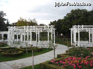 P02 [JUL-2012] Aranjamente florale in Parcul Rozelor
