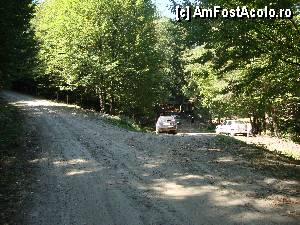 [P12] În dreapta este intrarea în curtea Mănăstirii Poiana Mărului; în stânga drumul șerpuiește prin pădure către Bisoca.  » foto by Floryn81
 - 
<span class="allrVoted glyphicon glyphicon-heart hidden" id="av359807"></span>
<a class="m-l-10 hidden" id="sv359807" onclick="voting_Foto_DelVot(,359807,5439)" role="button">șterge vot <span class="glyphicon glyphicon-remove"></span></a>
<a id="v9359807" class=" c-red"  onclick="voting_Foto_SetVot(359807)" role="button"><span class="glyphicon glyphicon-heart-empty"></span> <b>LIKE</b> = Votează poza</a> <img class="hidden"  id="f359807W9" src="/imagini/loader.gif" border="0" /><span class="AjErrMes hidden" id="e359807ErM"></span>