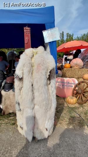[P103] Festivalul cârnatilor de Plescoi din comuna Berca Buzau » foto by Yolanda
 - 
<span class="allrVoted glyphicon glyphicon-heart hidden" id="av1546719"></span>
<a class="m-l-10 hidden" id="sv1546719" onclick="voting_Foto_DelVot(,1546719,5439)" role="button">șterge vot <span class="glyphicon glyphicon-remove"></span></a>
<a id="v91546719" class=" c-red"  onclick="voting_Foto_SetVot(1546719)" role="button"><span class="glyphicon glyphicon-heart-empty"></span> <b>LIKE</b> = Votează poza</a> <img class="hidden"  id="f1546719W9" src="/imagini/loader.gif" border="0" /><span class="AjErrMes hidden" id="e1546719ErM"></span>