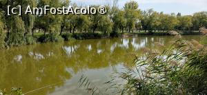 [P66] lacul din parc » foto by Yolanda
 - 
<span class="allrVoted glyphicon glyphicon-heart hidden" id="av1546682"></span>
<a class="m-l-10 hidden" id="sv1546682" onclick="voting_Foto_DelVot(,1546682,5439)" role="button">șterge vot <span class="glyphicon glyphicon-remove"></span></a>
<a id="v91546682" class=" c-red"  onclick="voting_Foto_SetVot(1546682)" role="button"><span class="glyphicon glyphicon-heart-empty"></span> <b>LIKE</b> = Votează poza</a> <img class="hidden"  id="f1546682W9" src="/imagini/loader.gif" border="0" /><span class="AjErrMes hidden" id="e1546682ErM"></span>