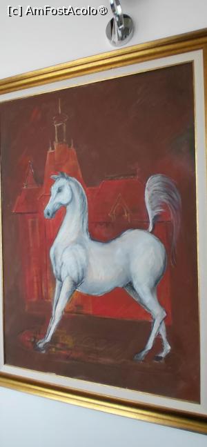 [P07] vila Albatros, calul pur sânge arab Albatros » foto by Yolanda
 - 
<span class="allrVoted glyphicon glyphicon-heart hidden" id="av1546623"></span>
<a class="m-l-10 hidden" id="sv1546623" onclick="voting_Foto_DelVot(,1546623,5439)" role="button">șterge vot <span class="glyphicon glyphicon-remove"></span></a>
<a id="v91546623" class=" c-red"  onclick="voting_Foto_SetVot(1546623)" role="button"><span class="glyphicon glyphicon-heart-empty"></span> <b>LIKE</b> = Votează poza</a> <img class="hidden"  id="f1546623W9" src="/imagini/loader.gif" border="0" /><span class="AjErrMes hidden" id="e1546623ErM"></span>