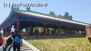 [P01] Templul Cerului este cel mai bine pastrat edificiu religios si cel mai mare, din perioada antichitatii chineze. A fost locul unde imparatii dinastiilor Ming si Qing adresau rugaciuni cerului. Locul este inconjurat de un zid de caramida, care in partea sudica are forma patrata, simbolizand Pamantul, iar portiunea nordica are forma semirotunda, simbolizand cerul, conform conceptiei antice din China potrivit careia „Cerul este rotund si Pamantul este patrat”. » foto by geani anto
 - 
<span class="allrVoted glyphicon glyphicon-heart hidden" id="av1491070"></span>
<a class="m-l-10 hidden" id="sv1491070" onclick="voting_Foto_DelVot(,1491070,5458)" role="button">șterge vot <span class="glyphicon glyphicon-remove"></span></a>
<a id="v91491070" class=" c-red"  onclick="voting_Foto_SetVot(1491070)" role="button"><span class="glyphicon glyphicon-heart-empty"></span> <b>LIKE</b> = Votează poza</a> <img class="hidden"  id="f1491070W9" src="/imagini/loader.gif" border="0" /><span class="AjErrMes hidden" id="e1491070ErM"></span>