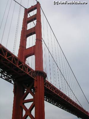 [P28] un close up - Golden Gate Bridge » foto by Marinusch
 - 
<span class="allrVoted glyphicon glyphicon-heart hidden" id="av519359"></span>
<a class="m-l-10 hidden" id="sv519359" onclick="voting_Foto_DelVot(,519359,5485)" role="button">șterge vot <span class="glyphicon glyphicon-remove"></span></a>
<a id="v9519359" class=" c-red"  onclick="voting_Foto_SetVot(519359)" role="button"><span class="glyphicon glyphicon-heart-empty"></span> <b>LIKE</b> = Votează poza</a> <img class="hidden"  id="f519359W9" src="/imagini/loader.gif" border="0" /><span class="AjErrMes hidden" id="e519359ErM"></span>